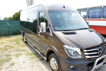 Microbuz maro văzut din față și lateral